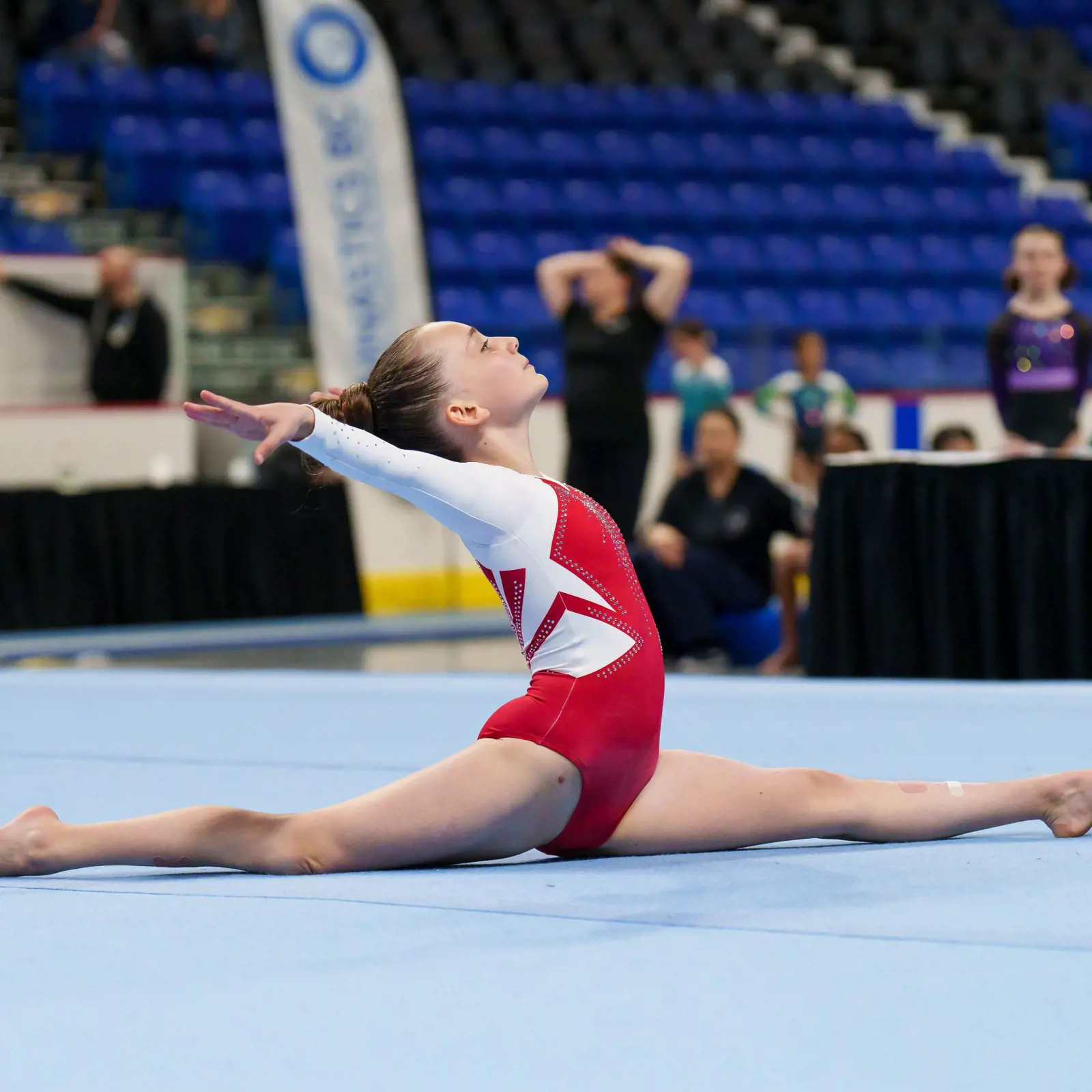 Education Resources Gymnastics BC Education Resources Gymnastics BC